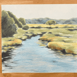 Pencil Crayon Fundamentals