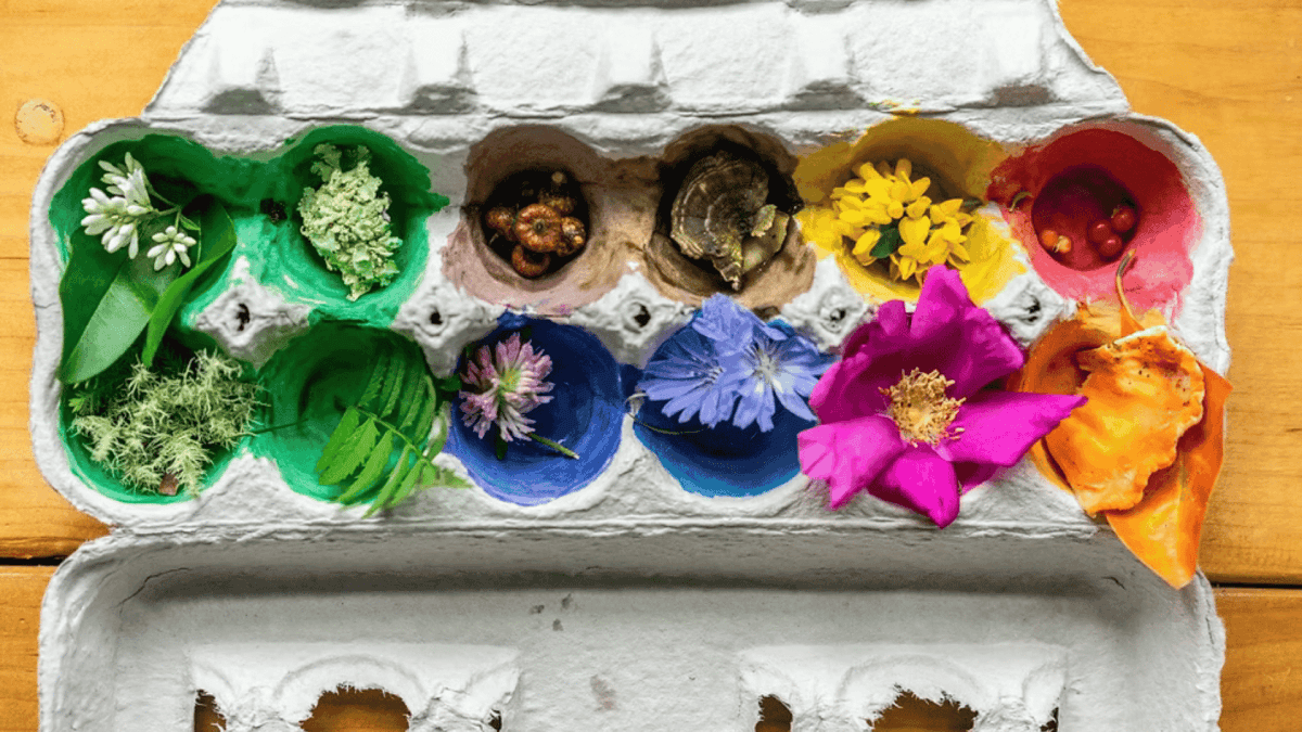 Spring Time Adventures: Nature Rainbow Walk