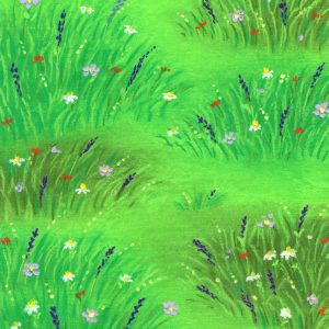 A Meadow Full of Life A Meadow Full of Life