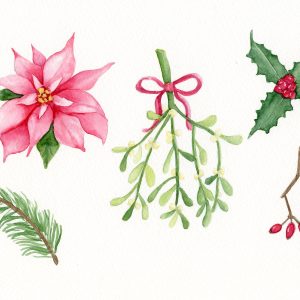 Botanicals of the Holidays Botanicals of the Holidays