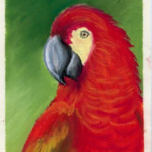 Crimson Beauty of the Tropics Crimson Beauty of the Tropics