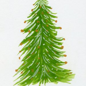 Evergreen Wishes of Winter Evergreen Wishes of Winter