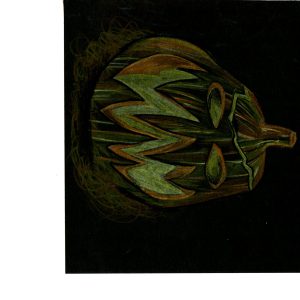 Pumpkin in the Shadows Pumpkin in the Shadows