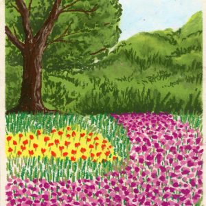 Springtime in the Tulip Garden Springtime in the Tulip Garden