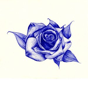 The Blue Rose of Mystery The Blue Rose of Mystery