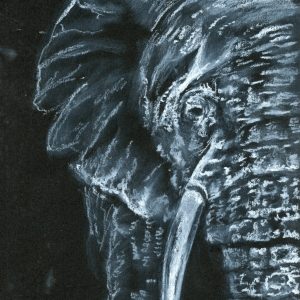 The Elephant Remembers